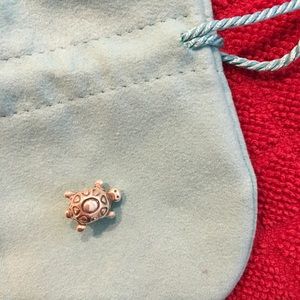 Pandora Turtle charm.